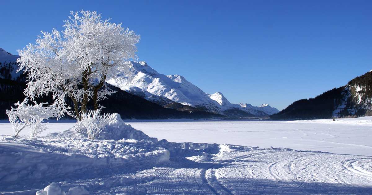frozen lake perfect for cross-country skiing Maloja-Sils